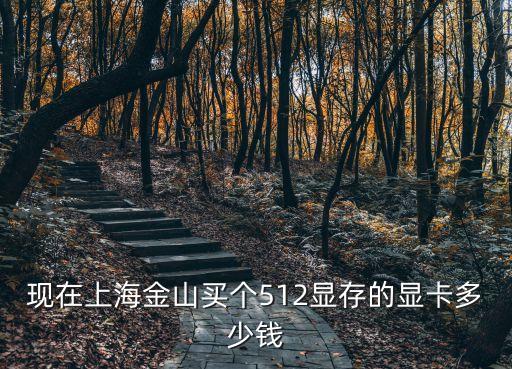 现在上海金山买个512显存的显卡多少钱