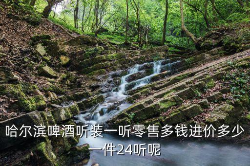 哈尔滨啤酒听装一听零售多钱进价多少一件24听呢