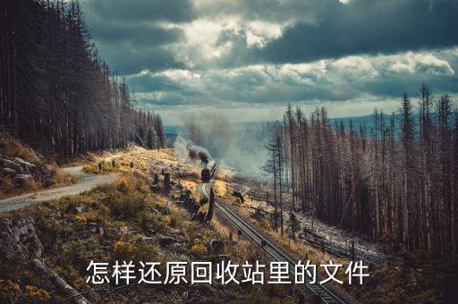 怎样还原回收站里的文件