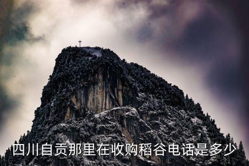 回收旧大米电话多少，哪里有大量收购粘大米姜米的联系电话15577934347