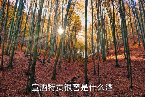 宣城酒业，宣酒特贡银窖是什么酒