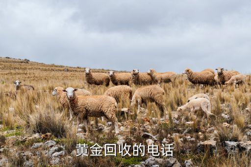 回收黄金电话是多少，黄金回收的电话