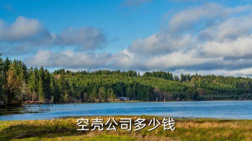 买壳公司多少钱，办理一家空壳公司需要多少钱走哪些流程
