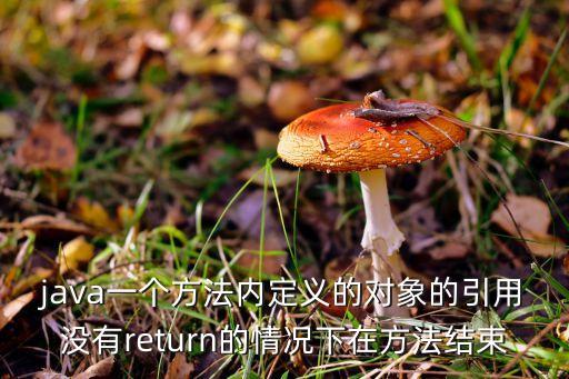 java引用对象怎么回收，java中对象的回收顺序