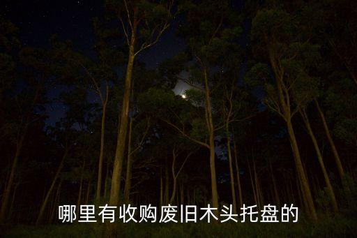 哪里有收购废旧木头托盘的