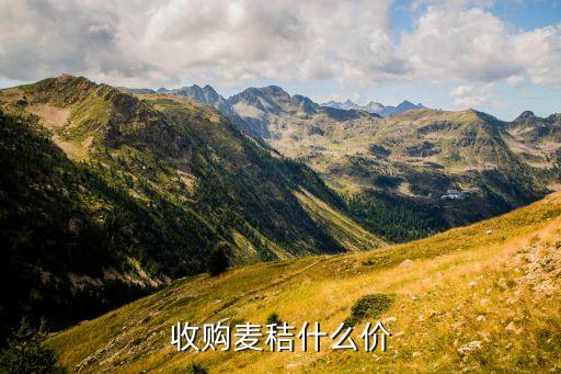 收购麦秸什么价