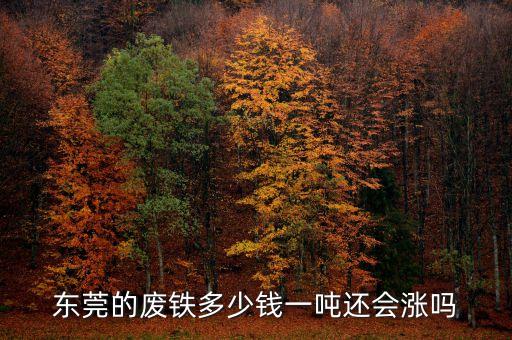东莞的废铁多少钱一吨还会涨吗