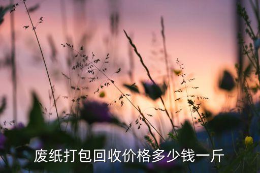 废纸打包回收价格多少钱一斤
