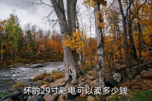 坏的29寸彩电可以卖多少钱