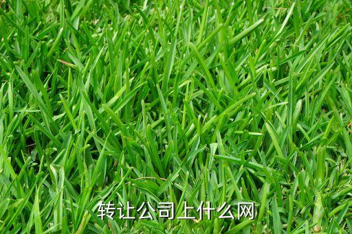 杭州公司转让交易平台，公司转让网