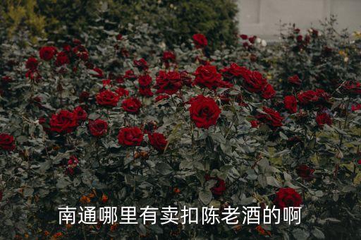南通哪里有卖扣陈老酒的啊
