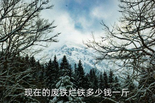 现在的废铁烂铁多少钱一斤