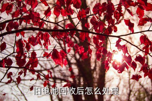 旧电池回收后怎么处理