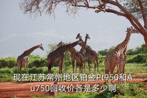 现在江苏常州地区铂金Pt950和Au750回收价各是多少啊