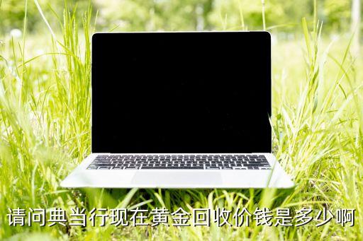 请问典当行现在黄金回收价钱是多少啊