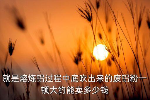 就是熔炼铝过程中底吹出来的废铝粉一顿大约能卖多少钱