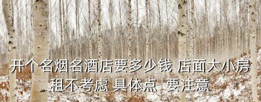 开个名烟名酒店要多少钱 店面大小房租不考虑 具体点  要注意