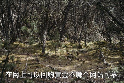 在网上可以回购黄金不哪个网站可靠
