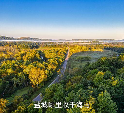 盐城哪里收干海马