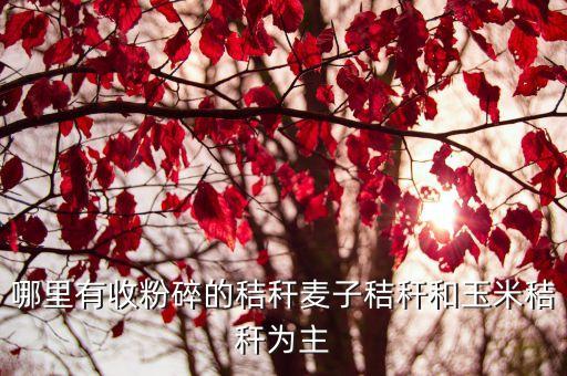 哪里有收粉碎的秸秆麦子秸秆和玉米秸秆为主