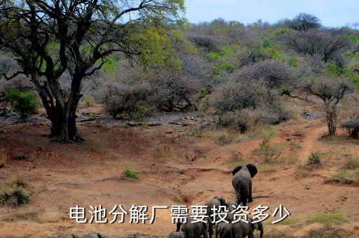 电池分解厂需要投资多少