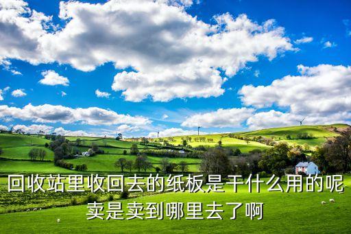 回收站里收回去的纸板是干什么用的呢卖是卖到哪里去了啊