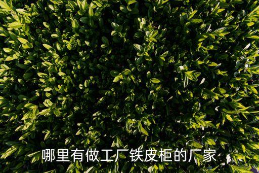 铁皮柜文件柜厂家，铁皮柜 文件柜 哪个好