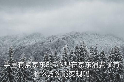 手里有点京东E卡不想在京东消费了有什么方法能变现吗