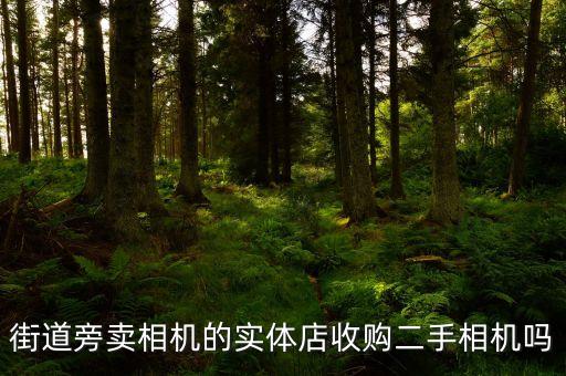 街道旁卖相机的实体店收购二手相机吗
