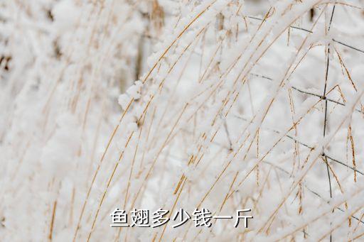洛阳回收鱼翅价格多少，鱼翅多少钱一 两