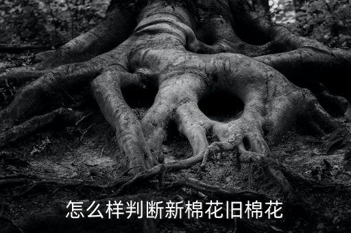 怎么样判断新棉花旧棉花