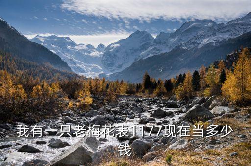 梅花表回收多少钱，我块老式梅花手表值多少钱啊