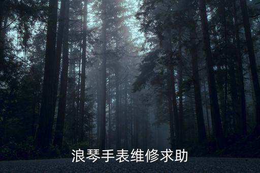 浪琴手表维修求助