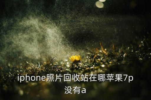 iphone照片回收站在哪苹果7p没有a