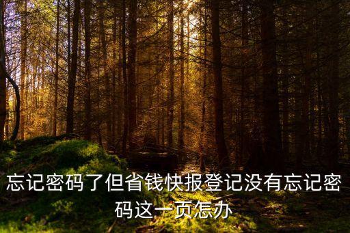 忘记密码了但省钱快报登记没有忘记密码这一页怎办