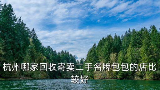 杭州哪家回收寄卖二手名牌包包的店比较好