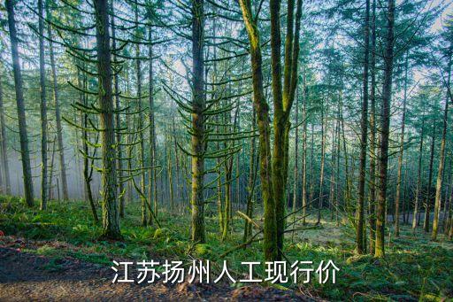 江苏扬州人工现行价