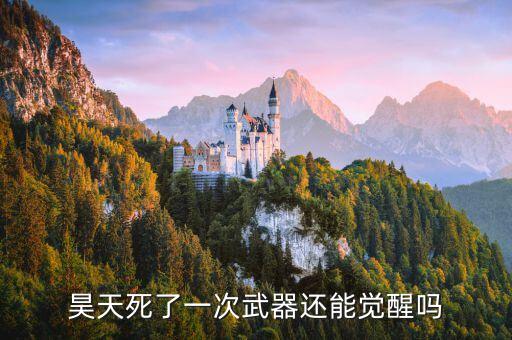 昊天死了一次武器还能觉醒吗