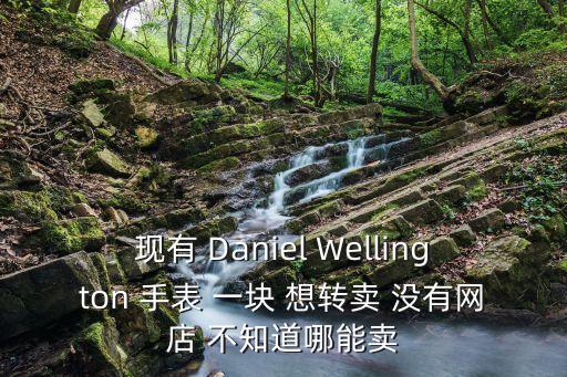 dw手表拿去哪里回收，现有 Daniel Wellington 手表 一块 想转卖 没有网店 不知道哪能卖