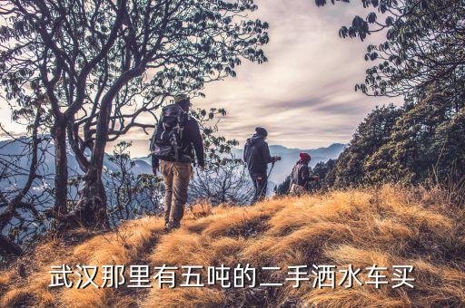 武汉二手洒水车交易市场，哪有二手洒水车出售