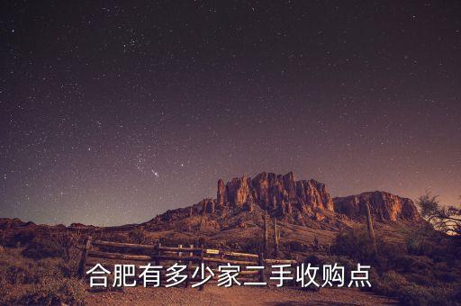 合肥有多少家二手收购点