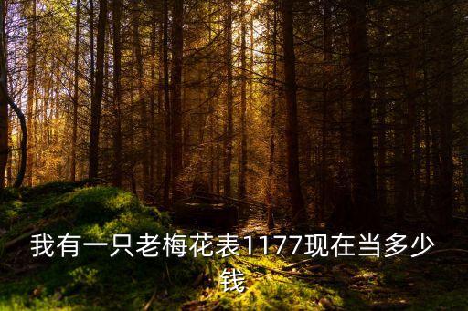 怀化梅花手表回收价格多少，1956年的梅花牌手表 保存完好 功能正常 现在能卖多少钱