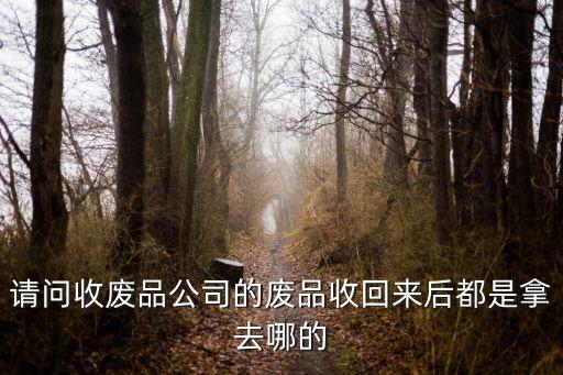 请问收废品公司的废品收回来后都是拿去哪的