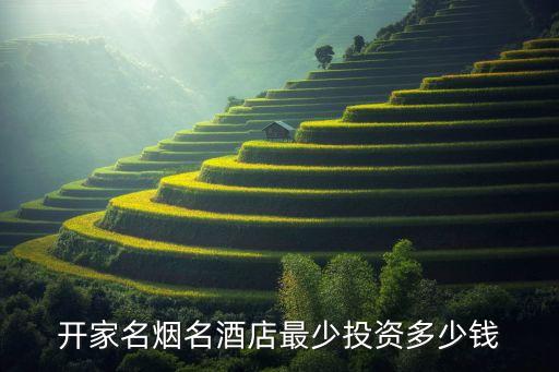 开家名烟名酒店最少投资多少钱
