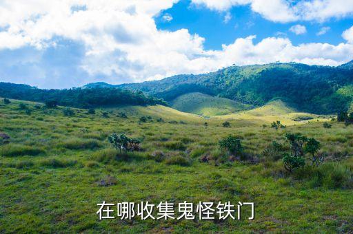 哪里回收铁门，哪里有旧铁门回收