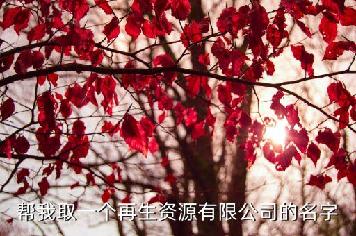 帮我取一个再生资源有限公司的名字