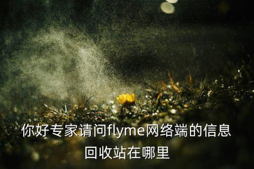 你好专家请问flyme网络端的信息回收站在哪里