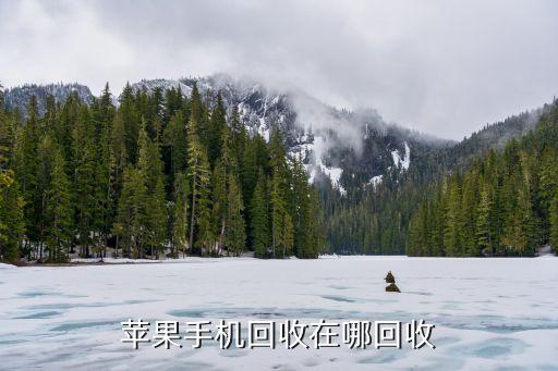 苹果手机回收在哪回收