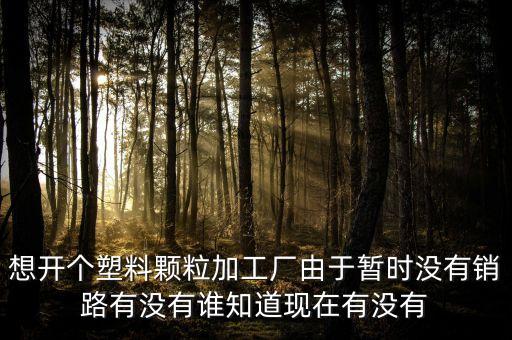 想开个塑料颗粒加工厂由于暂时没有销路有没有谁知道现在有没有