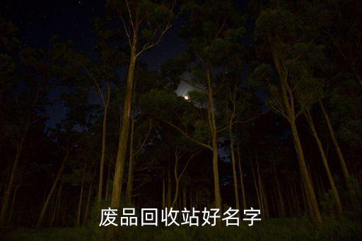 回收公司名称怎么取好，废品回收站好名字